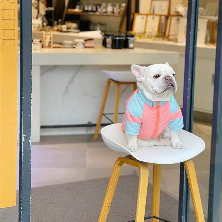 PawEase Warm & Thickened Winter Coat