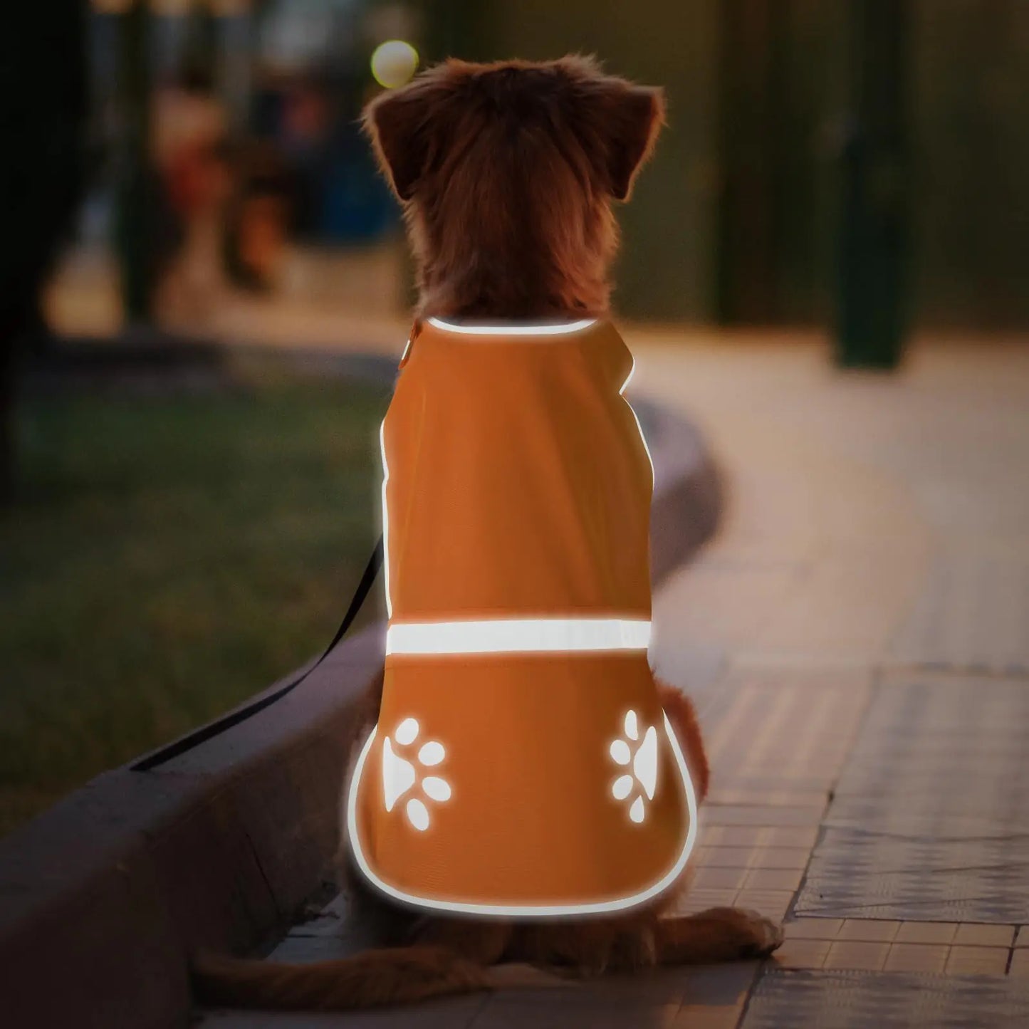 PawEase High-Visibility Reflective Dog Safety Vest