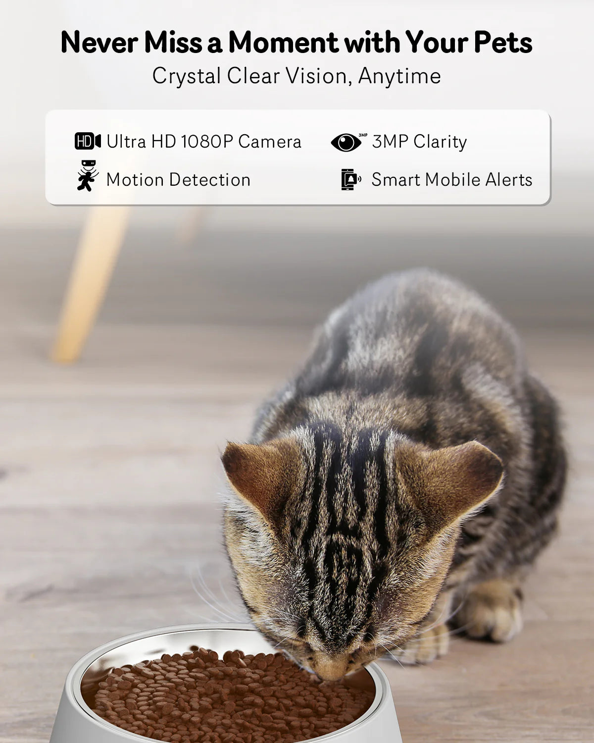 PawEase Automatic Cat Feeder with Camera