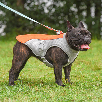 PawEase Breathable Cooling Vest for Dogs