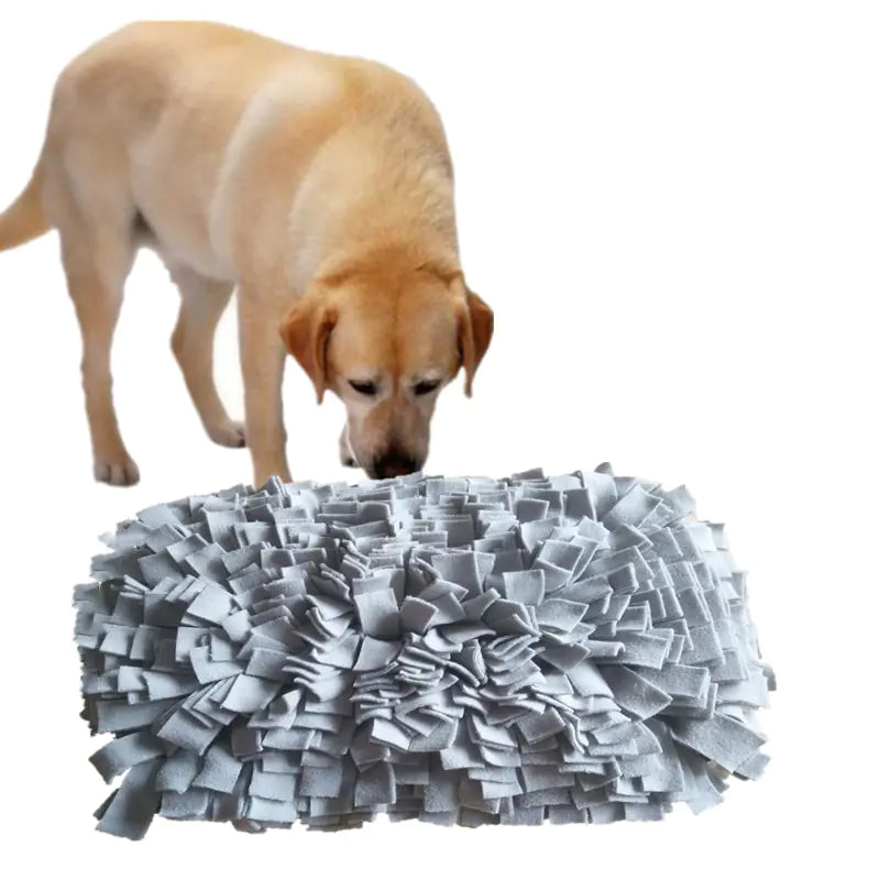 PawEase Pet Sniffing Mat