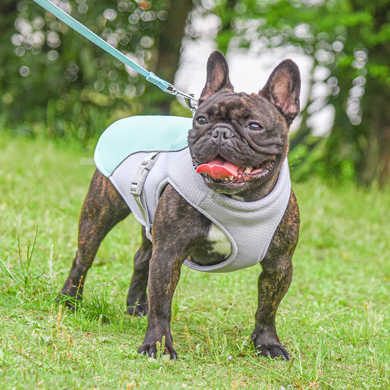 PawEase Breathable Cooling Vest for Dogs